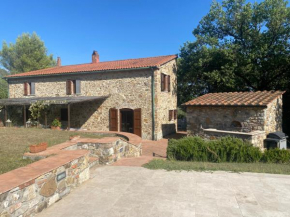 Pelagone Suvereto